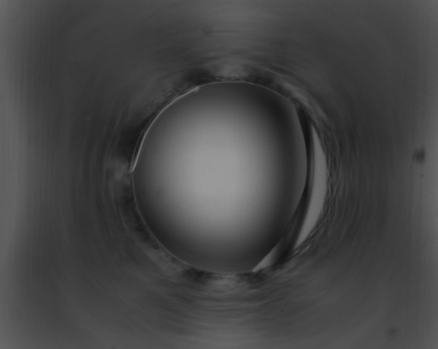 X0000091500521200708302000