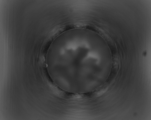 X0000091500523200708302000