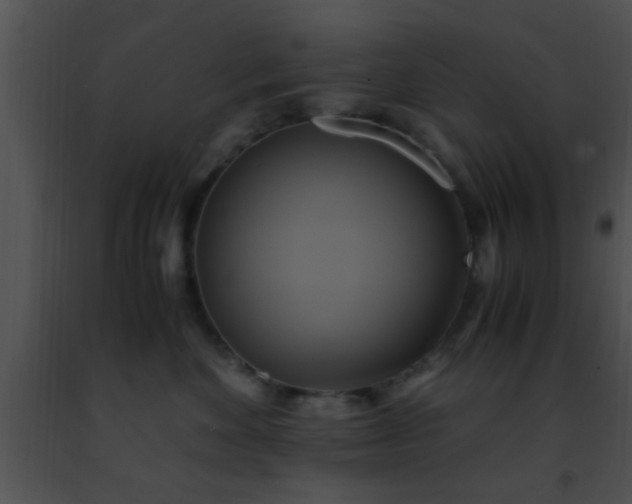 X0000091500524200708302000