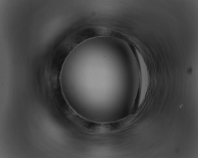 X0000091500525200708302000