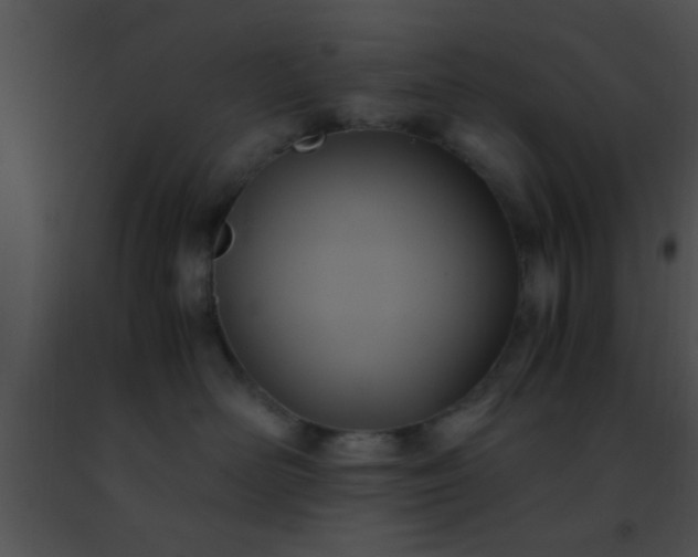 X0000091500526200708302000