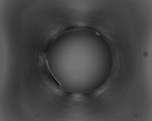 X0000091500528200708302000