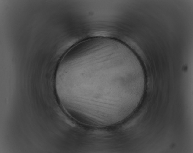 X0000091500529200708302000