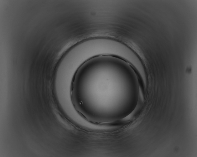 X0000091500530200708302000