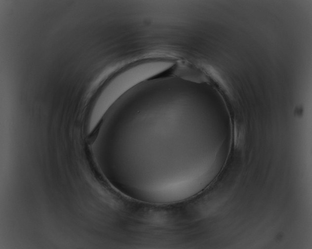 X0000091500531200708302000