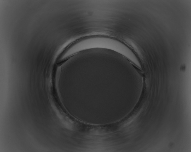 X0000091500532200708302000