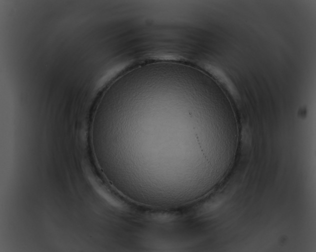 X0000091500533200708302000