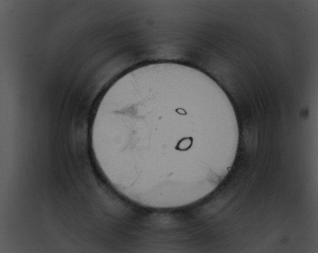 X0000091500534200708302000