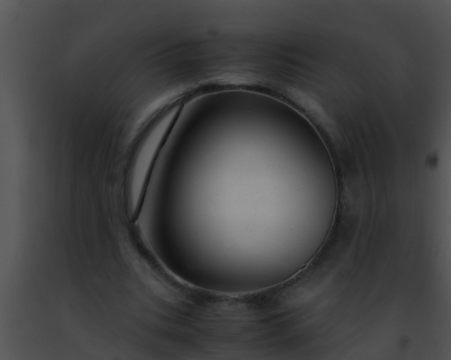 X0000091500535200708302000