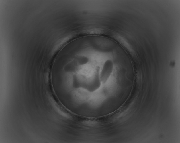 X0000091500537200708302000