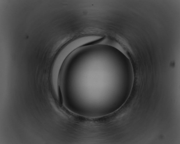 X0000091500538200708302000