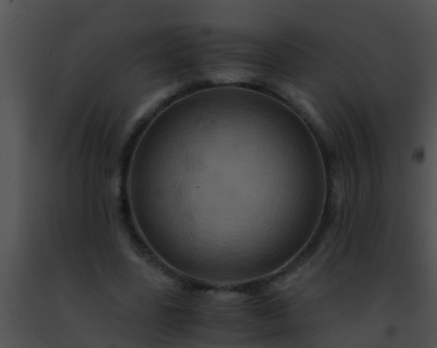 X0000091500539200708302000