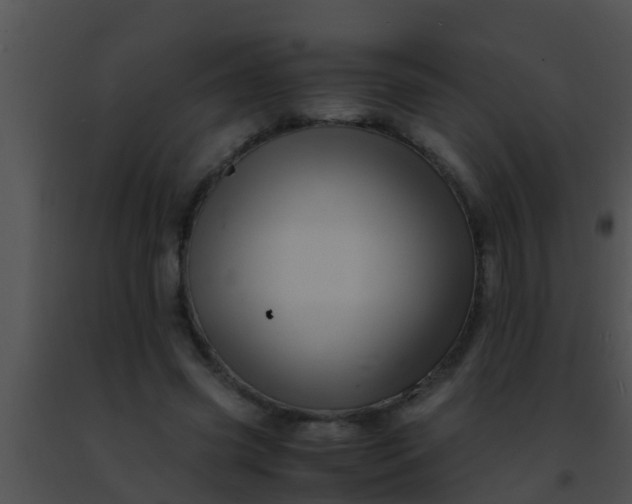 X0000091500541200708302000