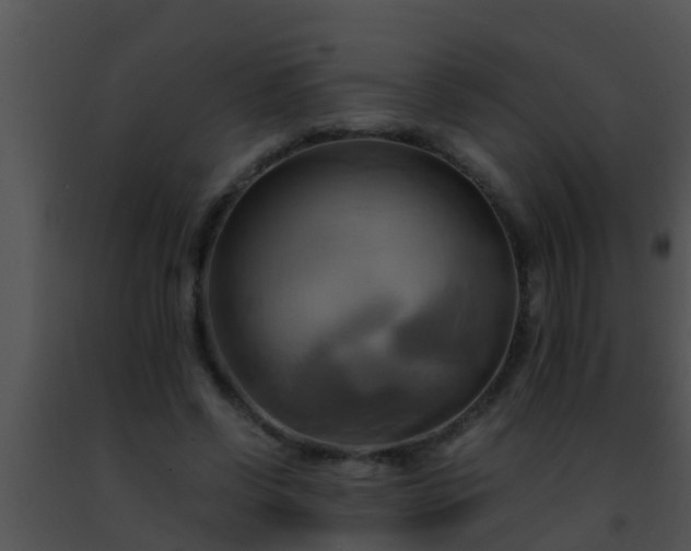 X0000091500542200708302000