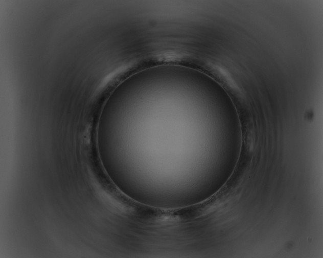 X0000091500543200708302000