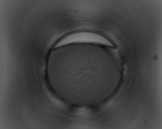 X0000091500544200708302000