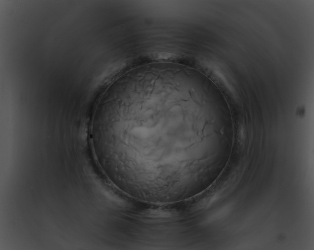 X0000091500545200708302000