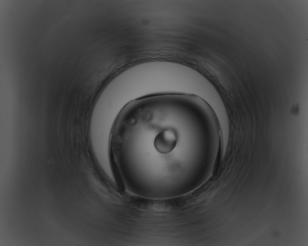 X0000091500546200708302000