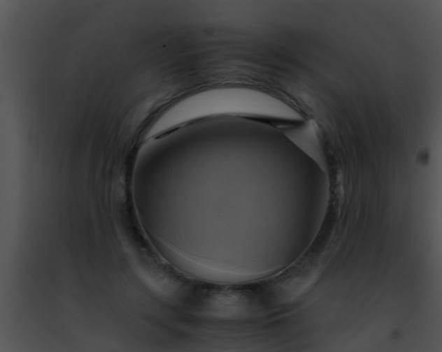 X0000091500547200708302000