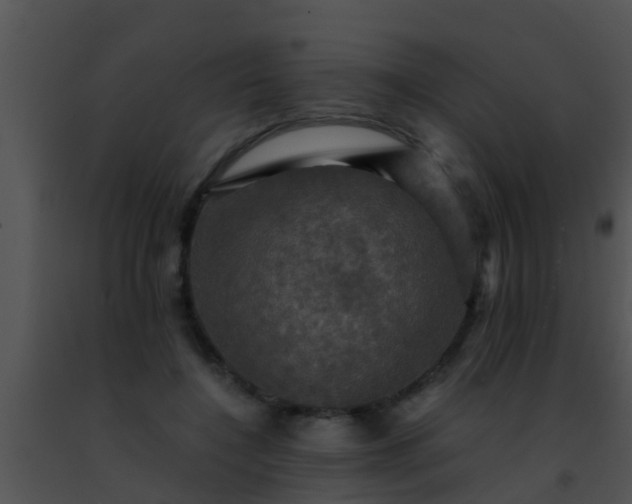 X0000091500548200708302000