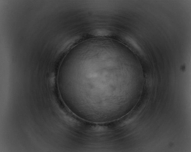 X0000091500549200708302000