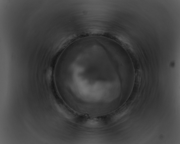 X0000091500550200708302000