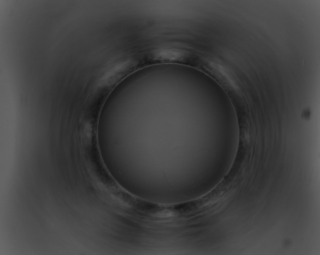 X0000091500551200708302000