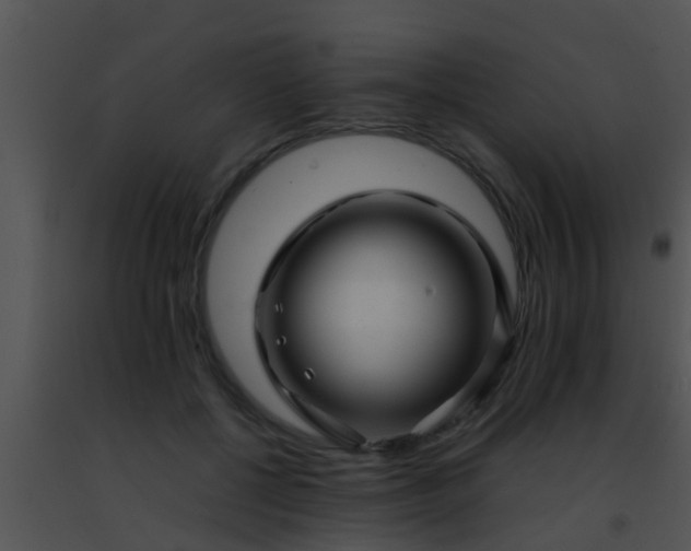 X0000091500552200708302000