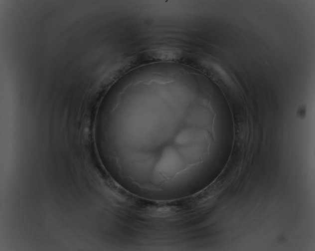 X0000091500553200708302000