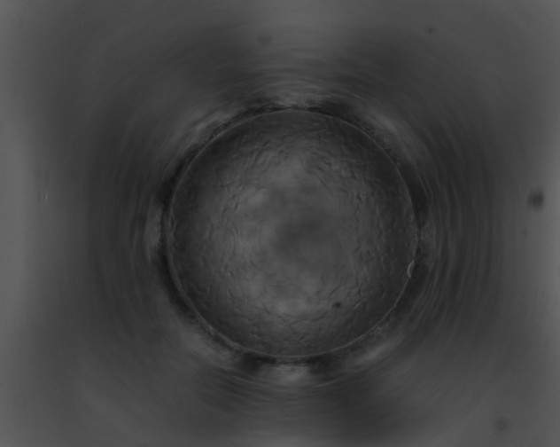 X0000091500554200708302000