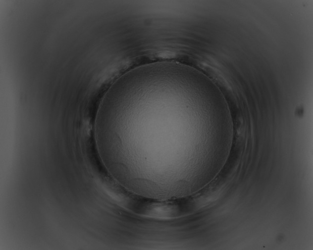 X0000091500555200708302000