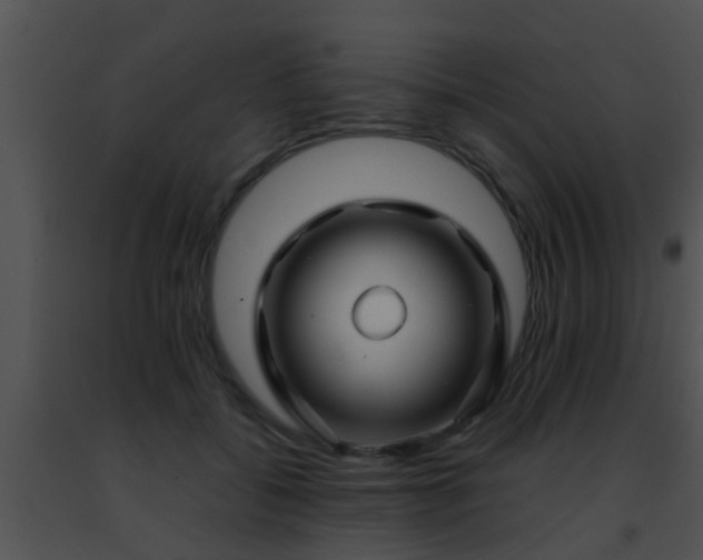 X0000091500556200708302000