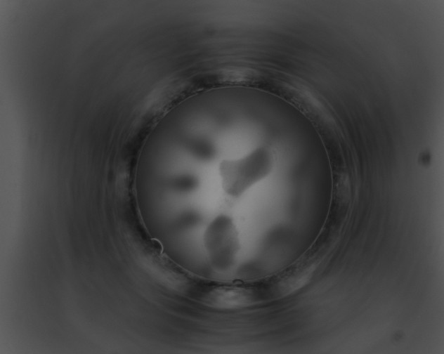 X0000091500557200708302000