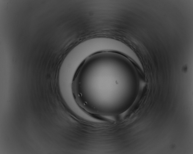 X0000091500558200708302000