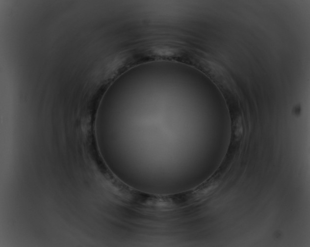 X0000091500559200708302000