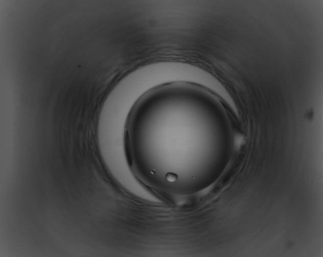 X0000091500560200708302000