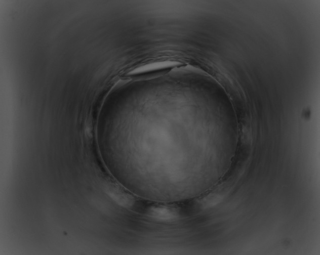 X0000091500561200708302000