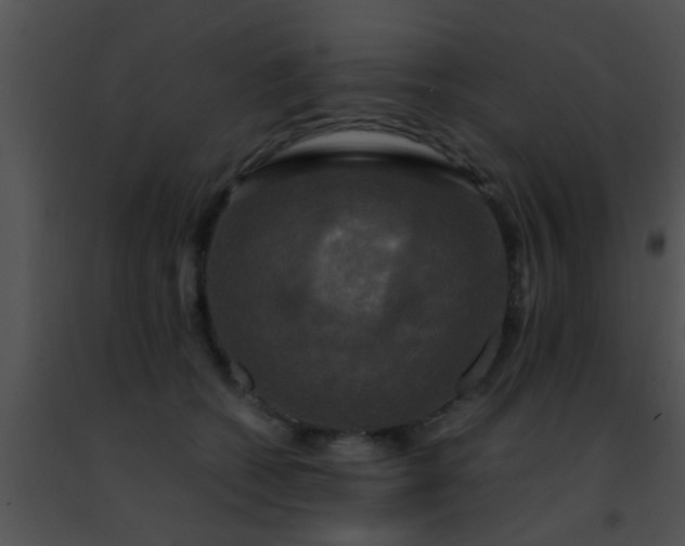 X0000091500562200708302000