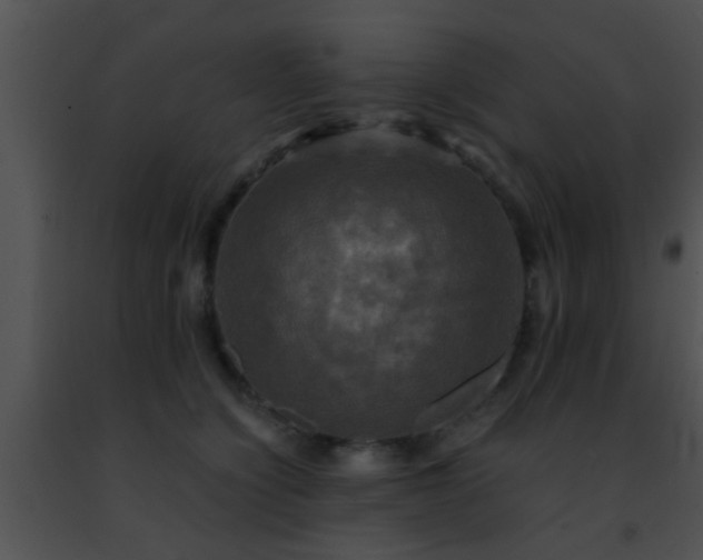 X0000091500564200708302000