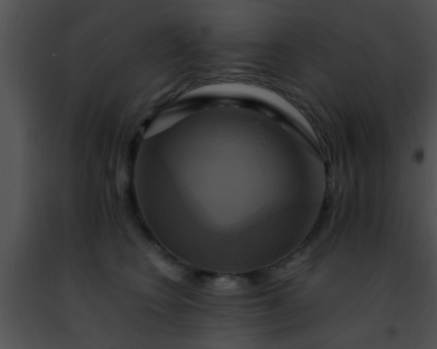 X0000091500566200708302000