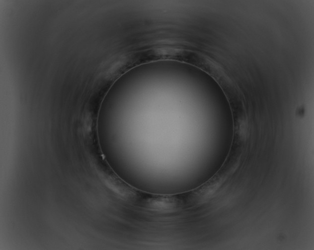 X0000091500567200708302000