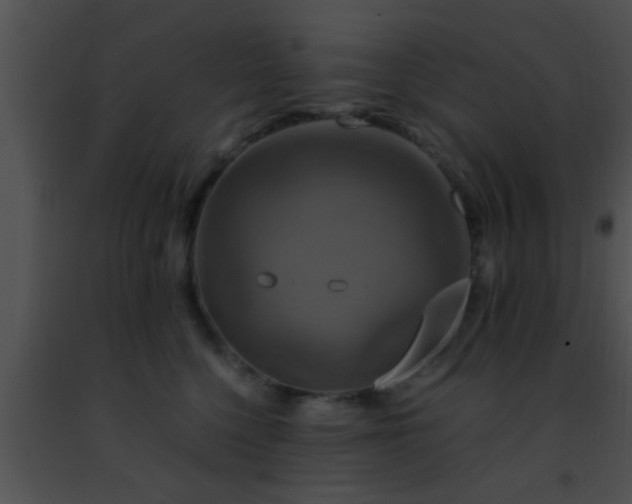 X0000091500568200708302000