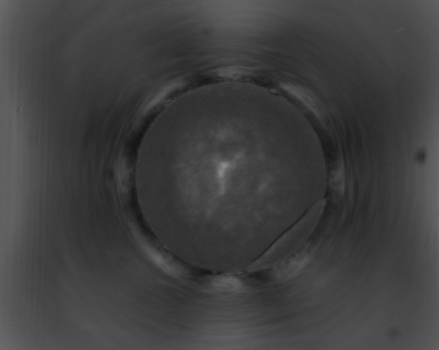 X0000091500572200708302000