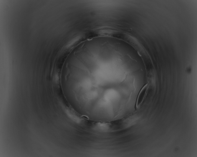 X0000091500573200708302000