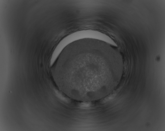 X0000091500574200708302000