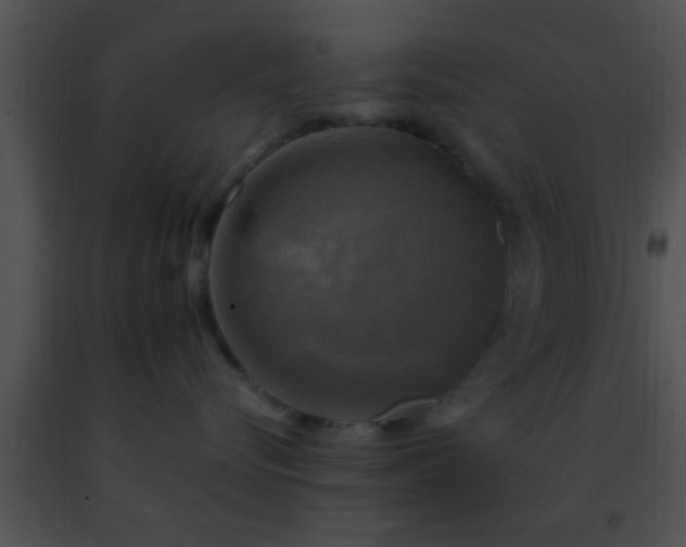 X0000091500576200708302000