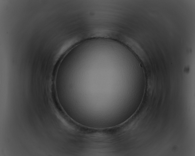 X0000091500578200708302000