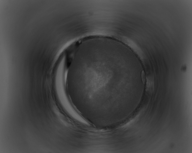 X0000091500580200708302000