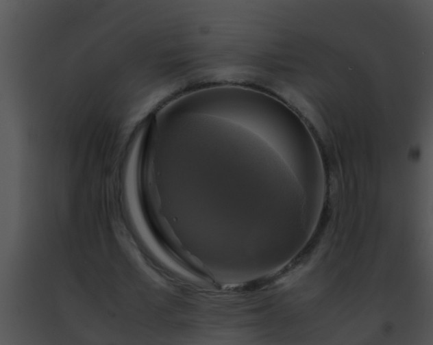 X0000091500581200708302000