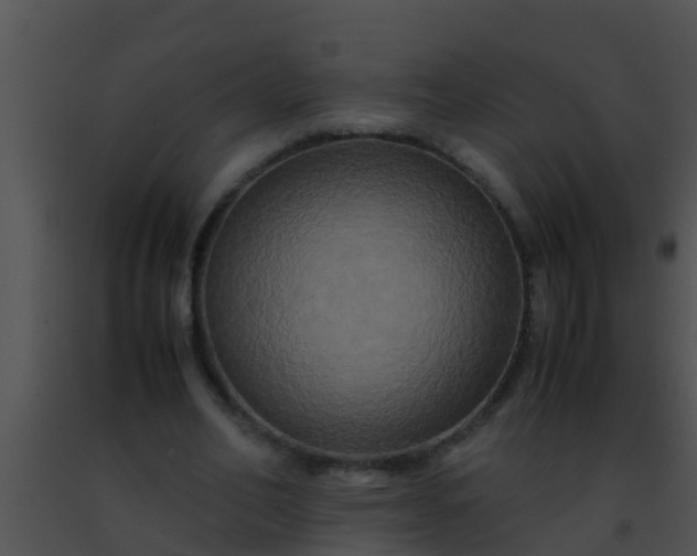 X0000091500582200708302000